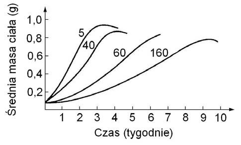 Zadanie 31.