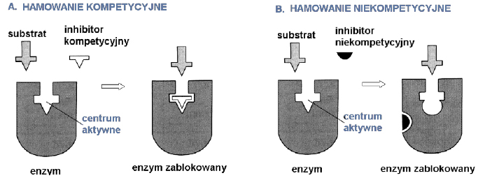 Zadanie 7.