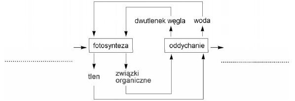 Przekształcanie energii w procesie oddychania komorkowego i fotosyntezy