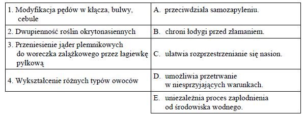 Adaptacje roślin okrytonasiennych