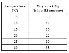 Zależność temparatury powietrza na proces fotosyntezy