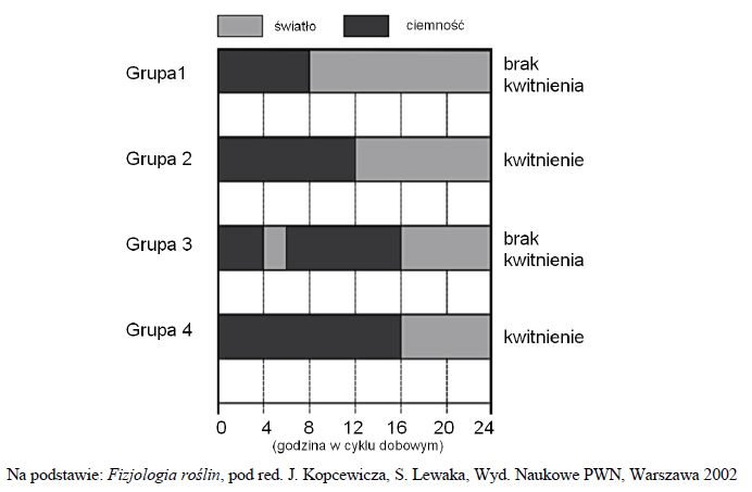 Zależność kwitnienia od fotoperiodu