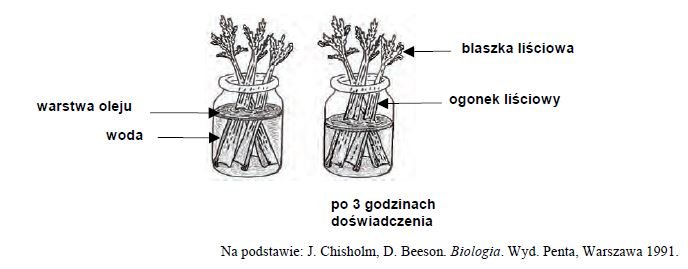 Znaczenie warstwy oleju na powierzchni wody w doświadczeniach biologicznych