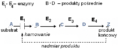 Zadanie 7.