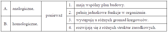 Budowa szkieletu kończyny przedniej kręgowców.