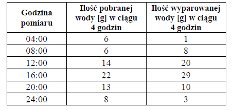 Przykład bilansu wodnego rośliny.