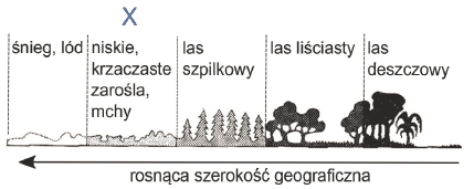 czynnik abiotyczny, który wpływa na strefowe występowanie biomów