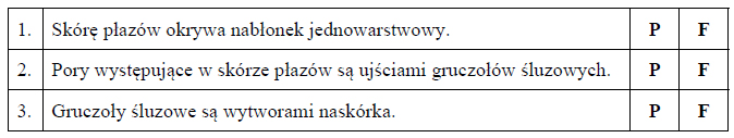 Przekrój skóry płaza.