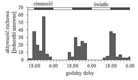 Zależność aktywności ruchowej owadów od pory dnia.