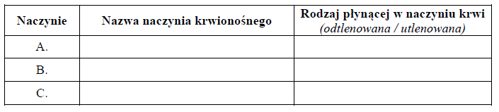 Kierunek przepływu krwi w ludzkim sercu.