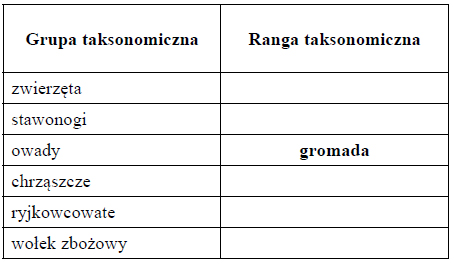 Przeobrażenie zupełne. Przeobrażenie niezupełne.