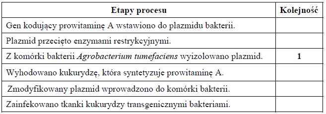 Etapy otrzymywania organizmu transgenicznego.