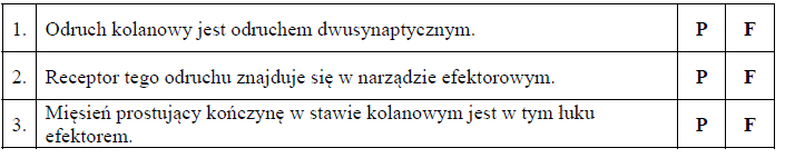 Łuk odruchowy kolanowy.