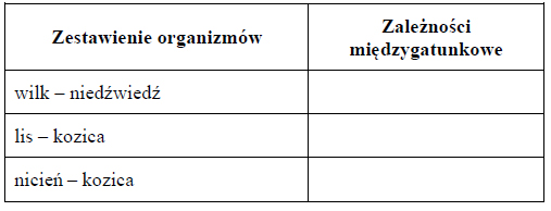 Zaleśności międzygatunkowe. Mutualizm, pasożytnictwo, konkurencja, drapieżnictwo.