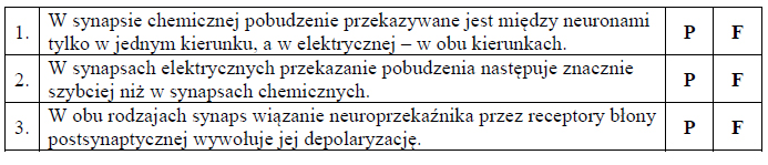 Synapsa chemiczna oraz synapsa elektryczna.