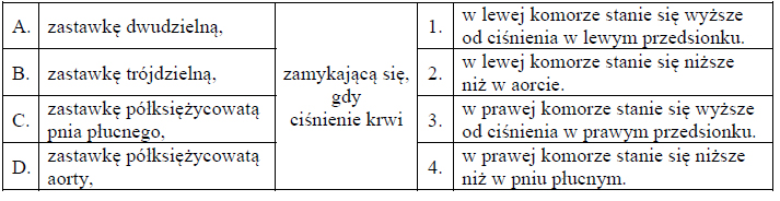 Budowa anatomiczna serca. Znaczenie zastawek w seru.