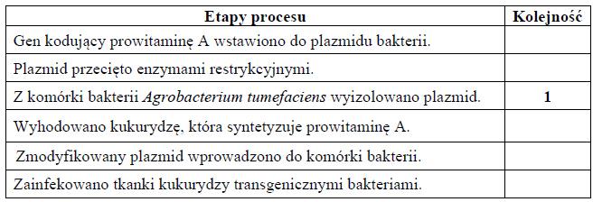 Etapy otrzymywania organizmu transgenicznego.