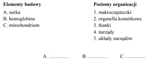 Poziomy organizacji życia.