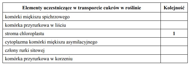 Transport wody i cukrów w roślinie.