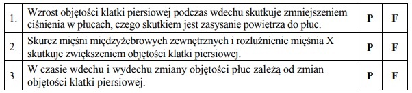 Mechanizm wentylacji płuc. Faza czyna i bierna.