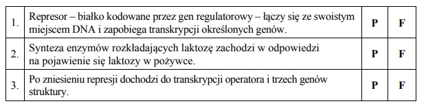 Ekspresja genów operonu laktozowego.