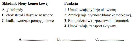 Składniki błony komórkowej i ich funkcje.