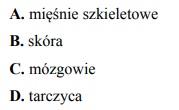 Termoregulacja organizmów zapadających w sen zimowy.