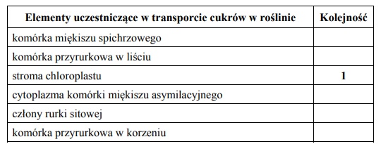 Transport asymilatów w roślinie.
