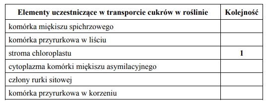 Transport asymilatów w roślinie.