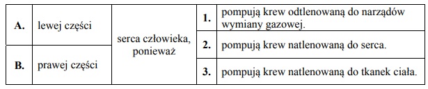 Układ krążenia głowonogów.