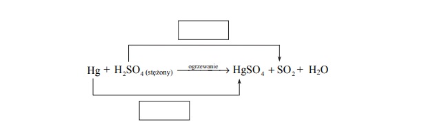 Reakcja rtęci ze stężonym kwasem siarkowym(VI)