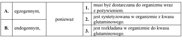 Rola glutaminy w organizmie człowieka.