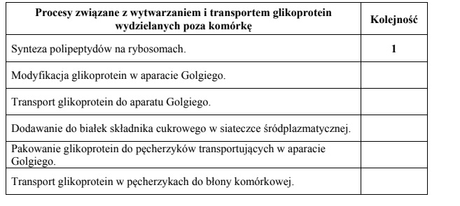 Wytwarzanie i transport glikoprotein.