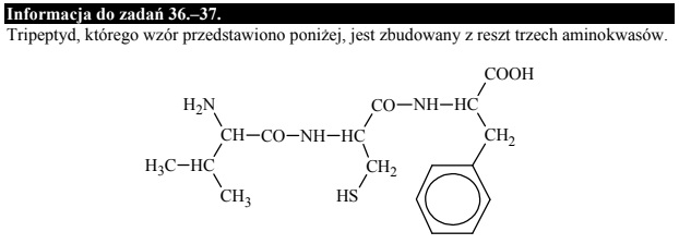 Tripeptyd zbudowany z trzech reszt aminokwasowych.