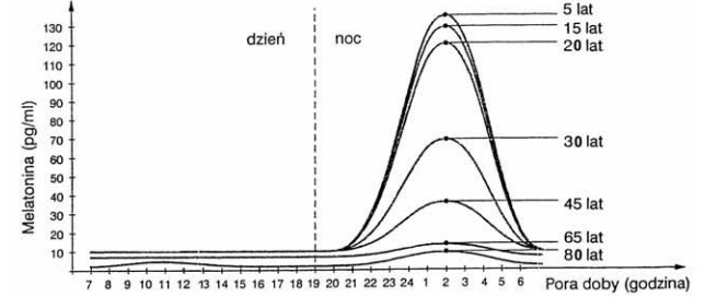 Wydzielanie melatoniny w zalezności od wieku i pory dnia.