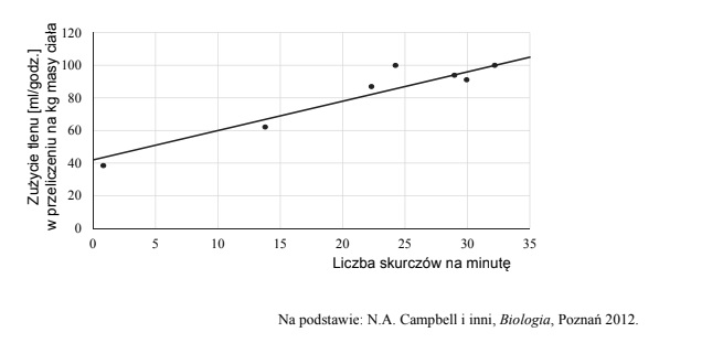 Znaczenie skurczy mięśni, zależność ich intensywności względem zużycia tlenu.