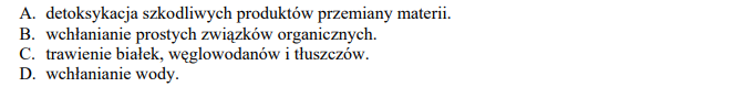 Budowa układu pokarmowego człowieka.