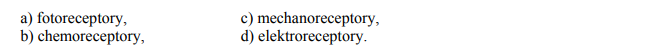 Fotoreceptory, chemoreceptory, mechanoreceptory, elektroreceptory.