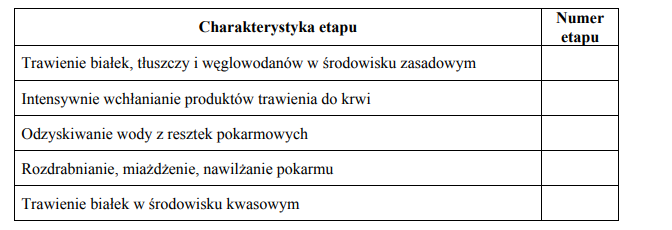 Etapy trawienia związków odżywczych.