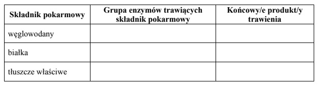 Trawienie enzymatyczne cukrów, białek i tłuszczy.