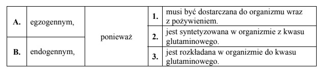 Znaczenie transportu jonów amonowych w postaci glutaminy.