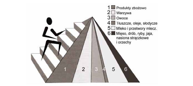 Znaczenie wysiłku fizycznego i diety dla zdrowia człowieka.