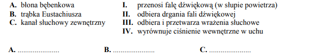 Błona bębenkowa, trąbka Eustachiusza, kanał słuchowy zewnętrzny.