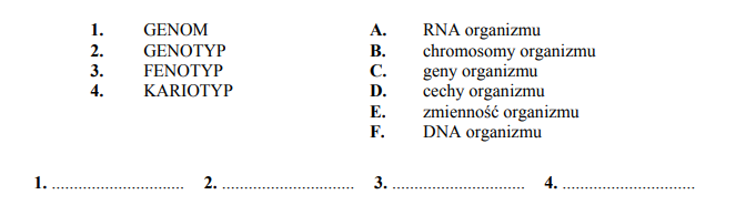 Genotyp, genom, fenotyp, kariotyp.
