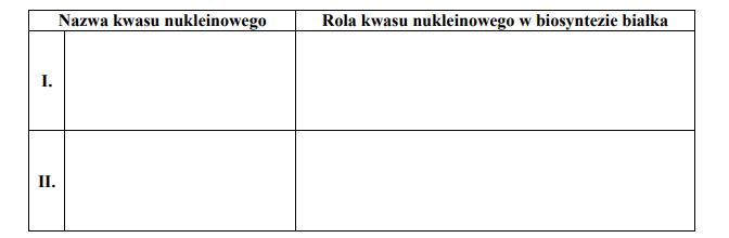 Proces translacji i znaczenie rodzajów RNA