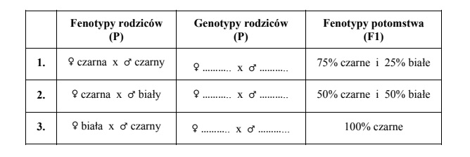 Dziedziczenia barwy sierści u kawii…