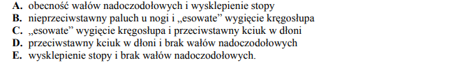 Cechy budowy człowieka rozumnego.