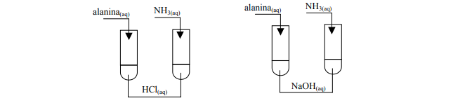 Właściwości chemiczne amoniaku i alaniny.