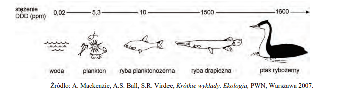 Akumulacja związków chemicznych w łańcuchach pokarmowych.