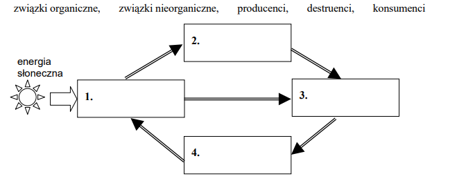 Krążenie materii i energii w przyrodzie.